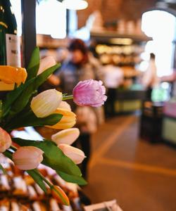 Тур в Калининград