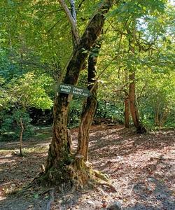 Всесоюзный маршрут №30