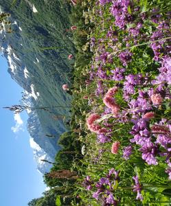 Тебердинский заповедник