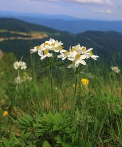 Природа Адыгеи