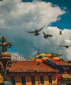 Храм Сваямбунатх