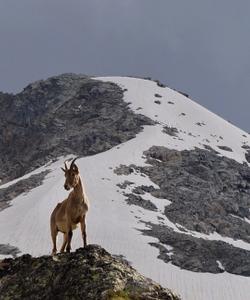 Местные пейзажи