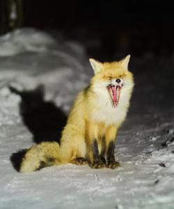 Таганай, зимний тур