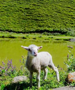 Тур по Южному Дагестану