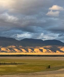 Курайская степь