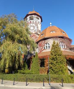 Светлогорск