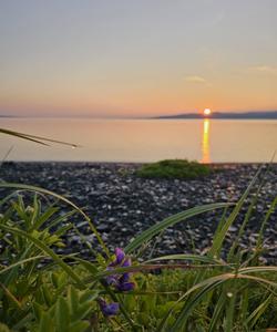 Охотское море