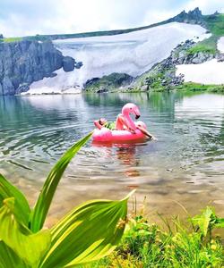 Озеро на Алтае