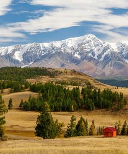 Алтайские горы