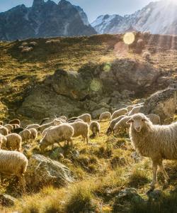 Кабардино-Балкария