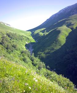 Горный пейзаж