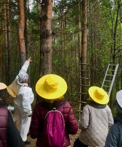 Экскурсия на пасеку в Башкирии