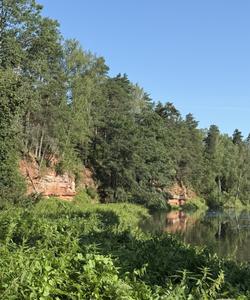 Экскурсия в Ленинградской области