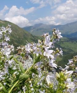 природа Кавказа