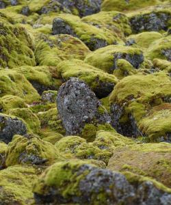 ландшафты Кольского полуострова