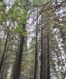 Ретрит тур в Крыму