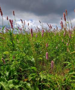 Поход в Таганае