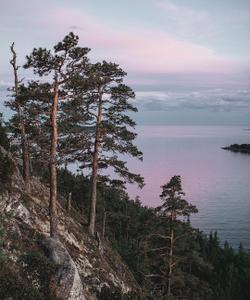 природа Карелии