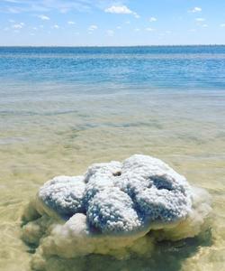 соленые озера