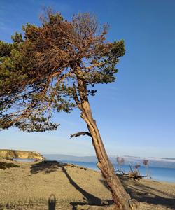 Тур на Байкал