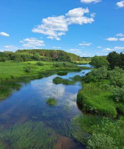 Сплав по Медведице