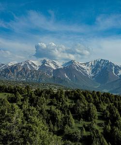 Зааминский заповедник
