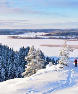 Зимний лес в Карелии