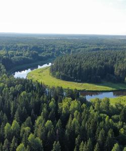 Сплав по Тверце