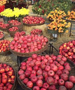 Гранаты в Армении