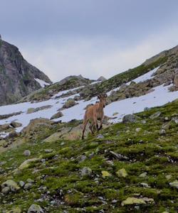 Местные пейзажи