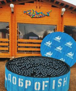 Осетровая ферма ДоброFish в Добрянке
