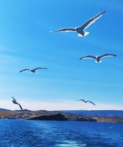 Местный пейзаж