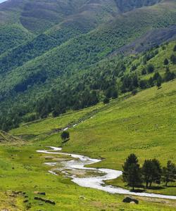 Долина реки Кыртык
