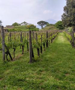 Поход в Италии