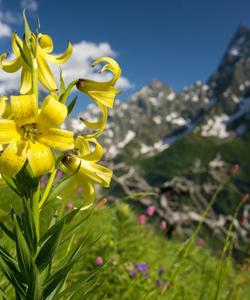 Природа Кавказа