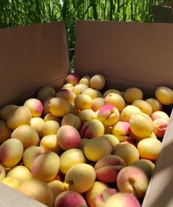 Тур в Дагестан