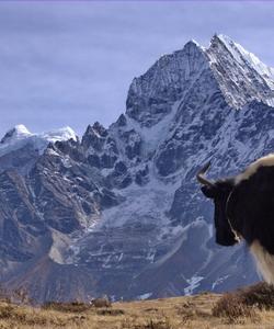 Тур к базовому лагерю Эвереста