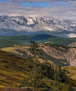 Местный пейзаж