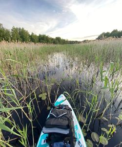 сап-прогулка в Ленобласти