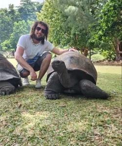 Черепаха на Сейшелах