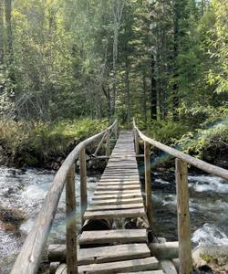 Байкальский заповедник