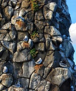 Круиз в бухту Русскую