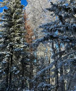 Восхождение на Двуглавую сопку