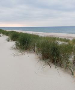 Куршская коса