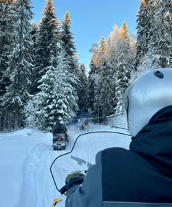 Катание на снегоходах Карелия