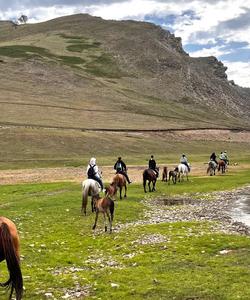 Конная прогулка в Башкирии