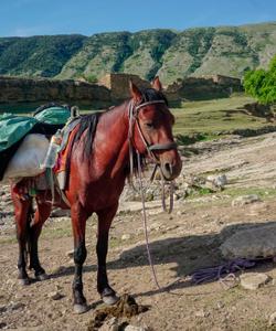 Поход по Дагестану