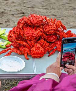 Дальневосточные крабы