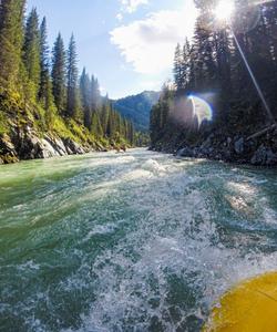 Сплав на рафтах на Алтае