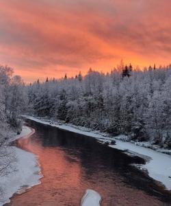 природа Карелии